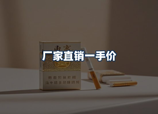 专业团队办公环境